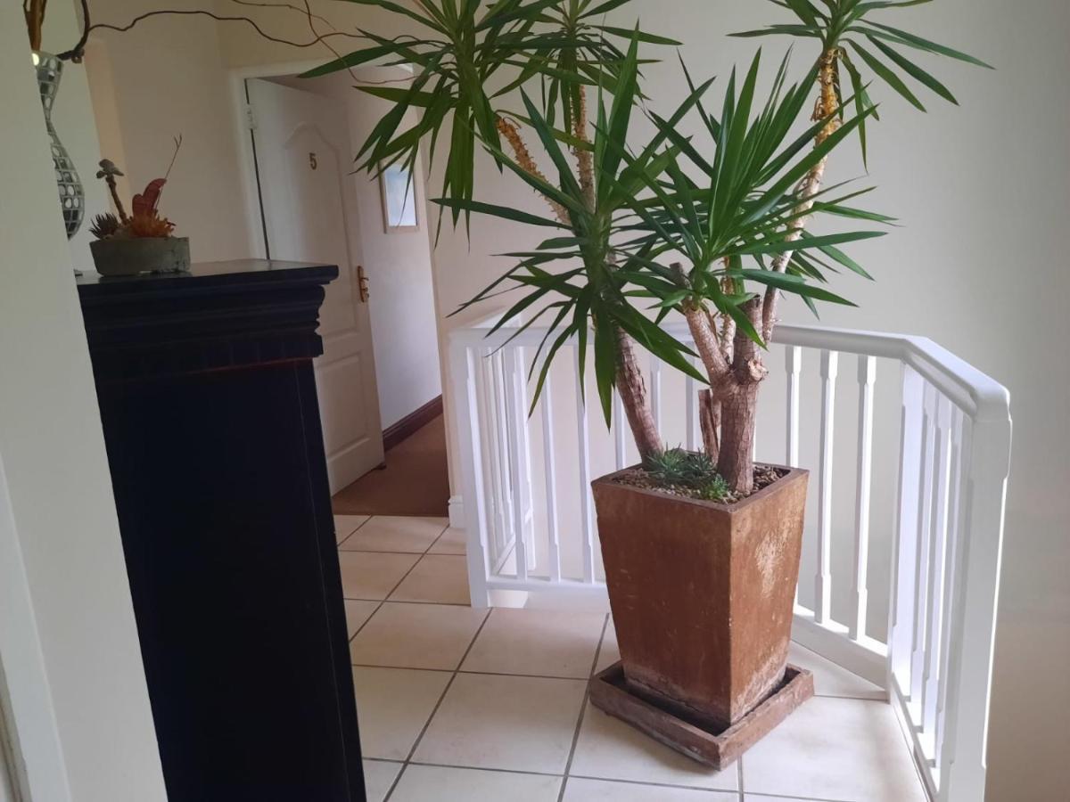 6 On Protea Bed & Breakfast Knysna Exterior foto